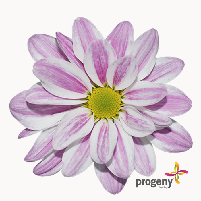 Pranay - Imagen 2