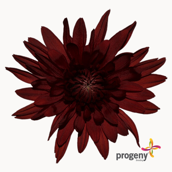 Red Copper - Imagen 2